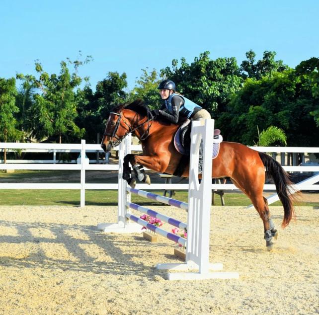 Amber show jumping a bay horse over a fence
